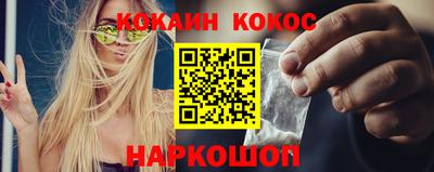 шишки Кимры