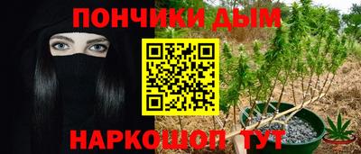 шишки Кимры