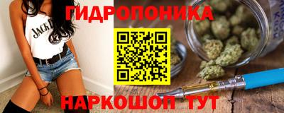 шишки Кимры