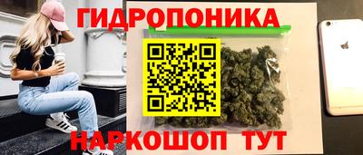 индика Конаково