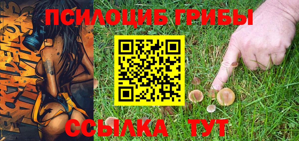 Галлюциногенные грибы GOLDEN TEACHER Кирово-Чепецк